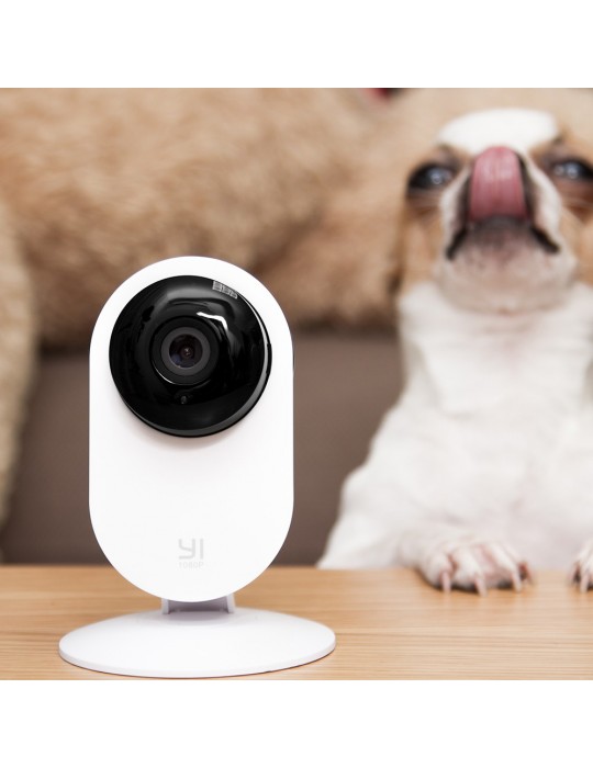 [Y20] YI Home Cámara Vigilancia Cámara IP 1080p. Videovigilancia de mascotas.