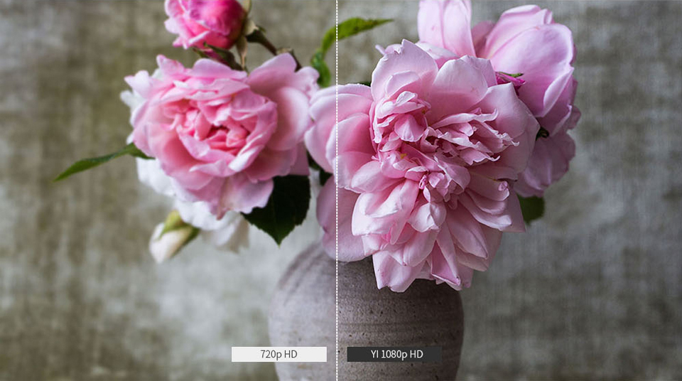 Comparación resolución YI 1080p HD flores rosas