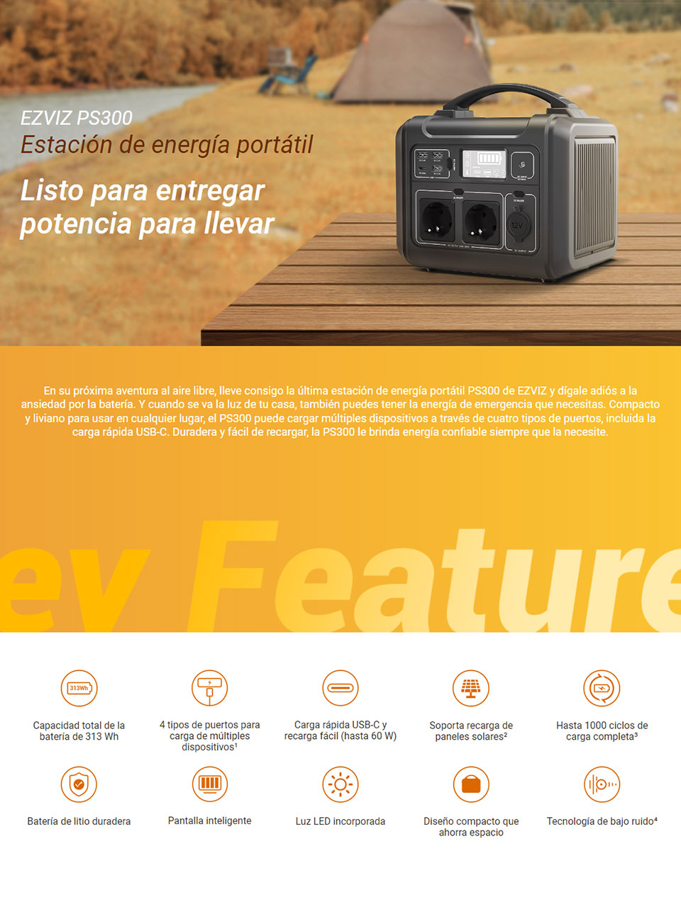 CS-PS300-R100-CN032-es.jpg